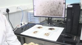 IIT Madras received 5 million USD for research and develepment activity by MR Watsa.