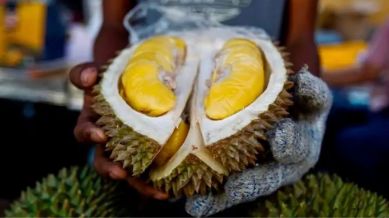 Durian in Southeast Asia