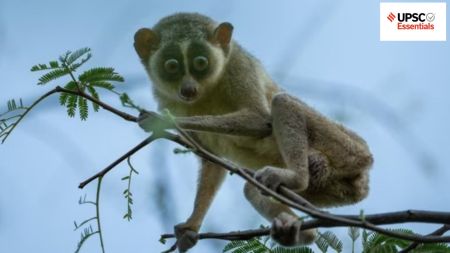 UPSC Daily subject-wise quiz : Environment, Geography, Sci-Tech (Week 61)