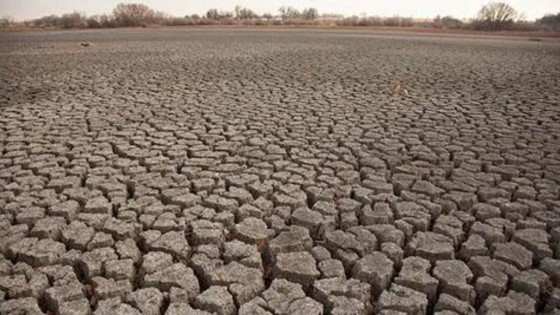 Russia’s southern Rostov region declares emergency due to drought ...