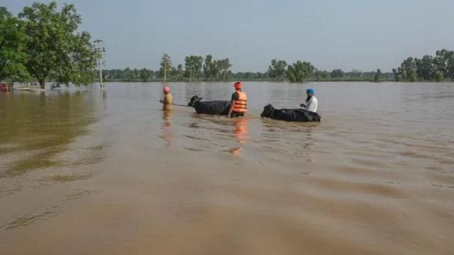 punjab,