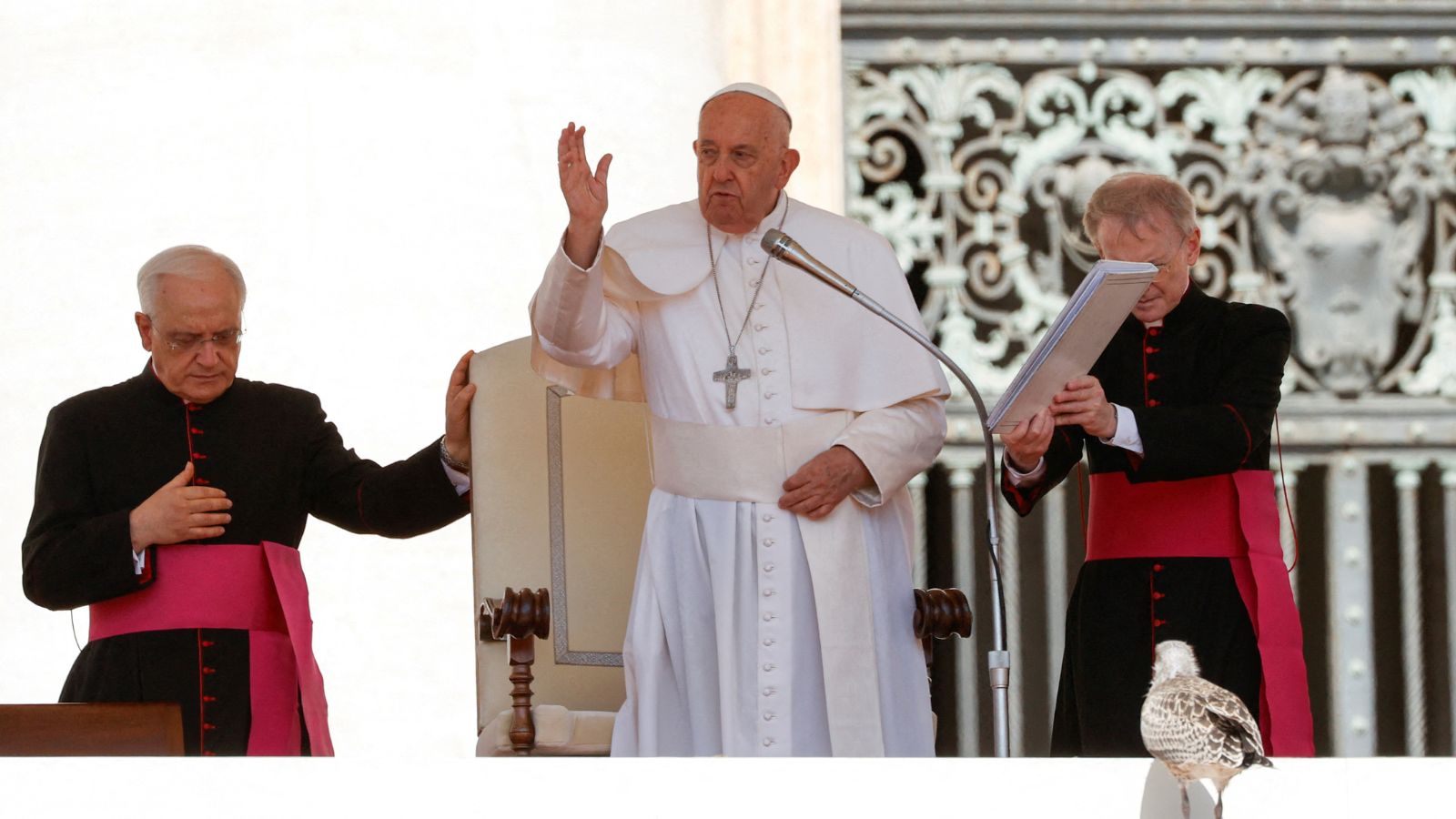 Pope Francis on homilies