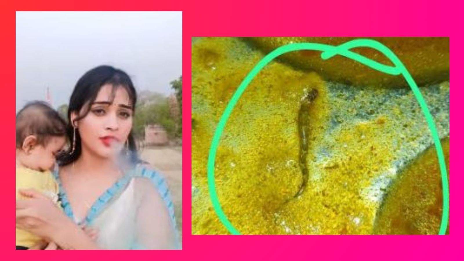 Top viral videos today: Dead snake in food at Bihar engineering college