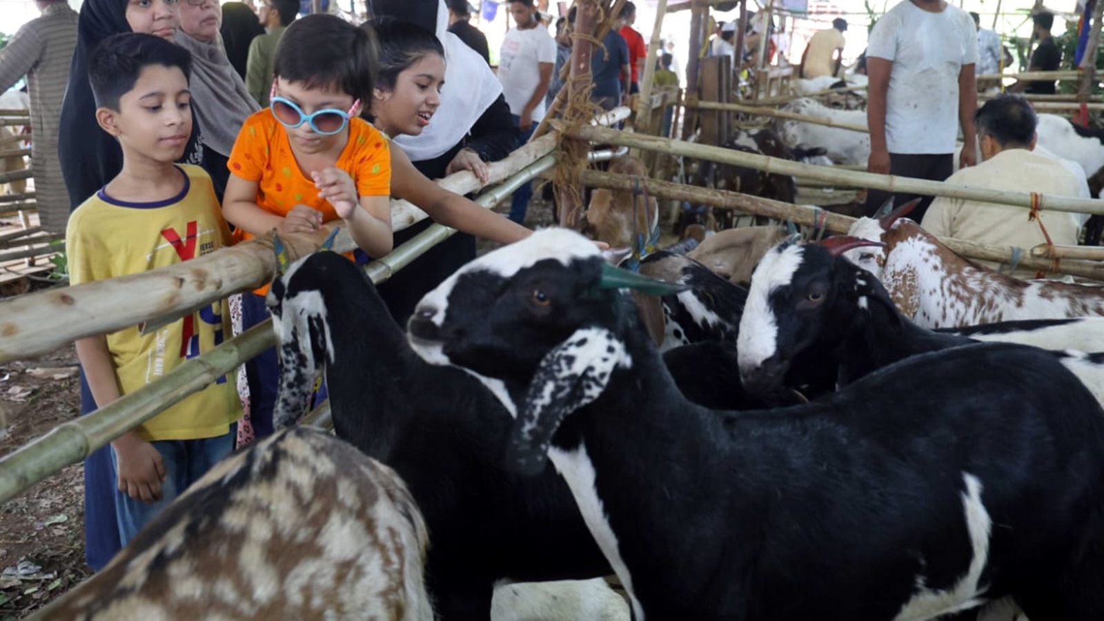deonar abbatoir, mumbai