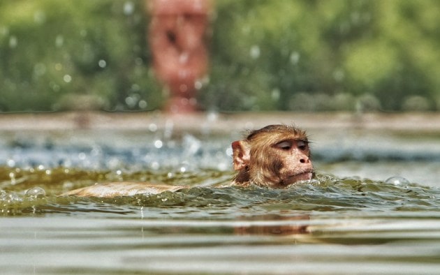 Delhi Heatwave