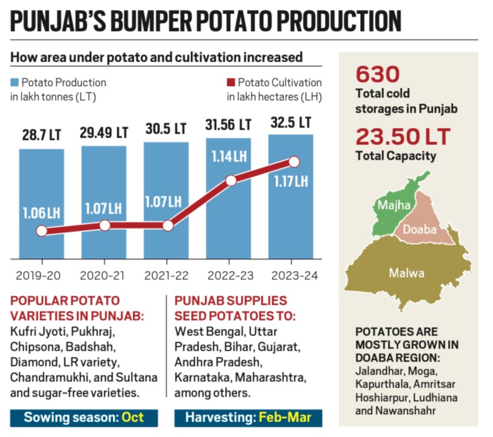 Punjab's Bumper Potato Production