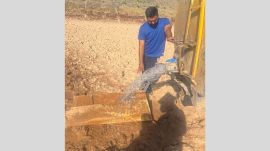 animal water, mohali, indian express