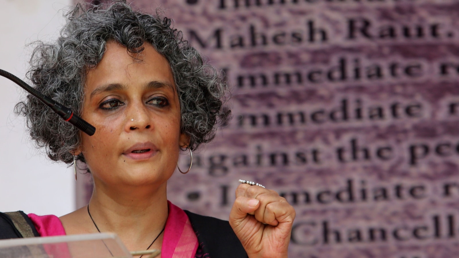 Arundhati Roy, Kashmir and animal cruelty: View from Pakistan | The ...