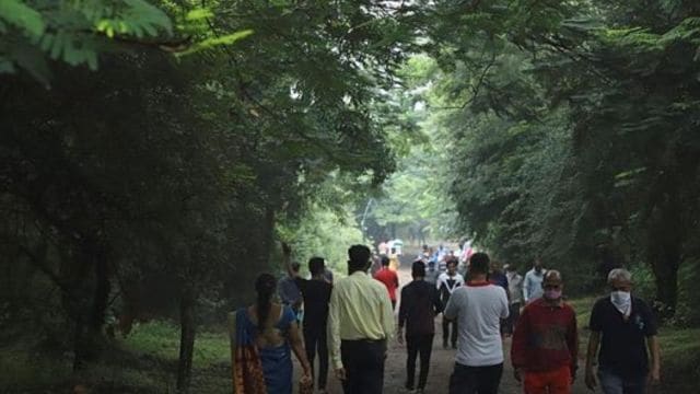 In October 2019, the Karnataka High Court directed the BBMP to start tree enumeration in the city within one month starting October 10 of that year.