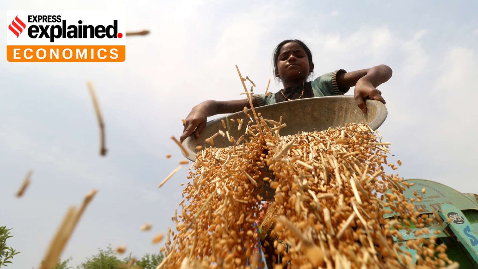 Members of a farm family harvesting wheat crop at the Chitrehta village of Sidhauli in Uttar Pradesh earlier this year.
