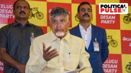 n chandrababu naidu