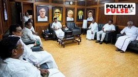 Tamil Nadu DMK victory, DMK allies, Tamil Nadu Congress