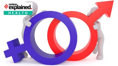 Lancet study male female