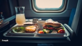 flight meal, air india, contamination, food safety