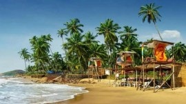 Tourists 'come in jeeps, drink alcohol, litter', so Goa's Calangute panchayat resolves to tax them