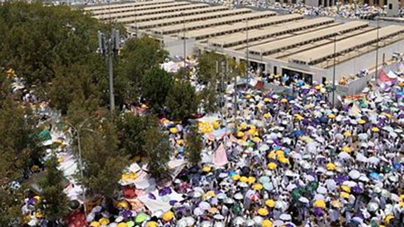 550 Lives Lost: The Challenging 2023 Hajj Amid Record-Breaking Heat