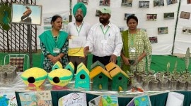 Punjab Lok Sabha elections, Punjab green booths