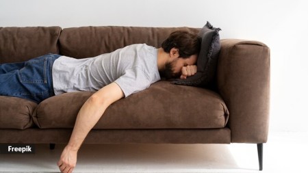 lazy, laziness, exercise, fitness