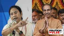 tmc mamata banerjee, shiv sena UBT uddhav thackeray