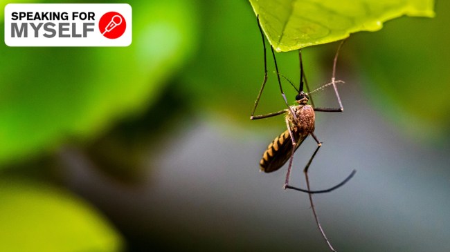 A singular act of killing a mosquito, opened up a Pandora’s Box for self-reflection. (Photo: Unsplash)