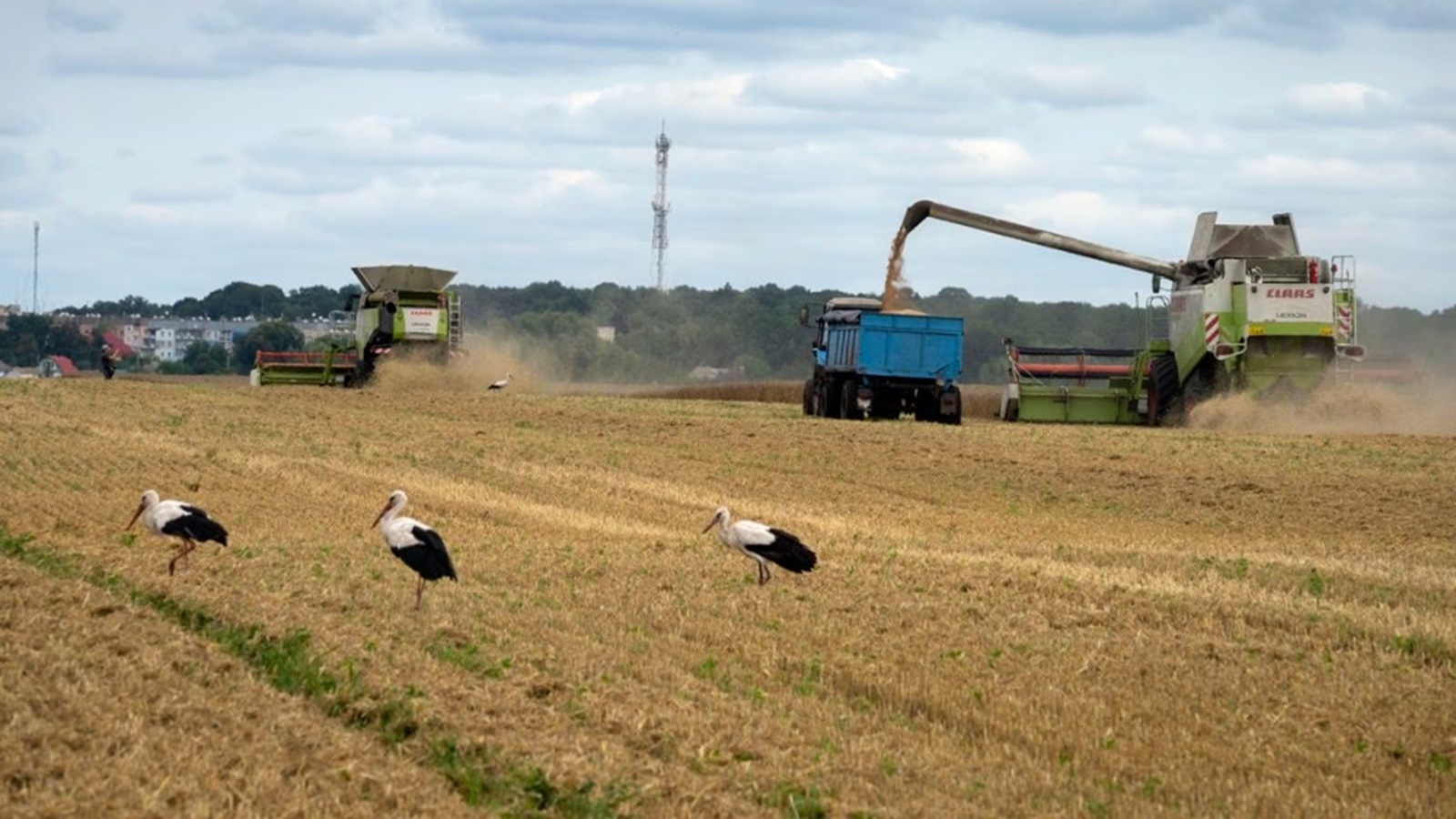 Russia may declare emergency due to frost impact on crops: Farm ...