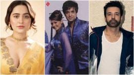 Actors Sanjeeda Sheikh and Aamir Ali tied the knot in 2012 amidst successful careers in the television industry. They announced their separation in 2020