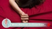 What happens to your body when you have sex every day?