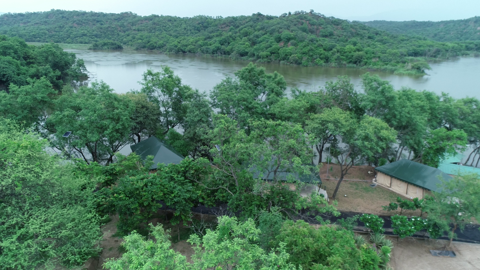 Only 3.67% of Punjab under forest cover; 3 Shivalik district account for 63%