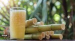 sugarcane juice, ICMR