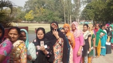 voting