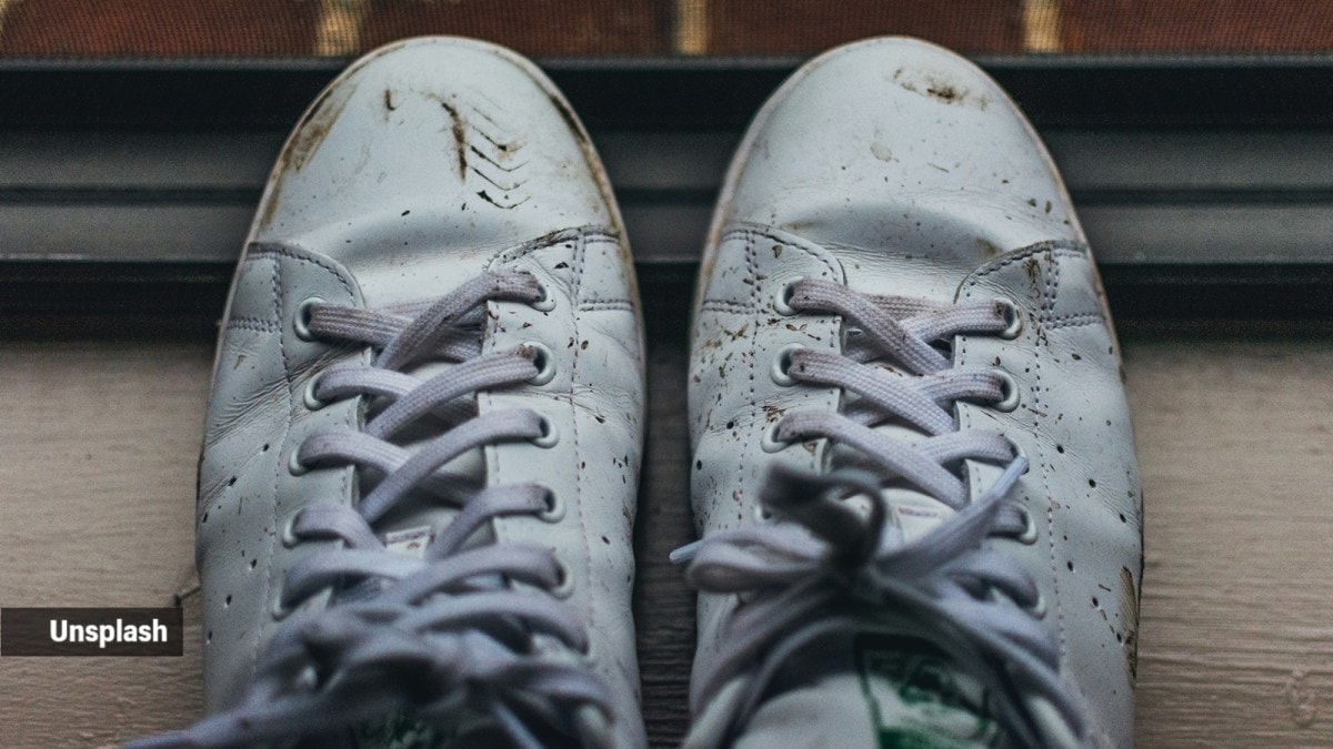 adidas gazelle silver green womens Dirty Laundry Trackstar Sneaker in Taupe 10 main image 0