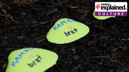 Pennsylvania's Shapiro and Michigan's Whitmer hold a rally in support of U.S. Vice President Kamala Harris