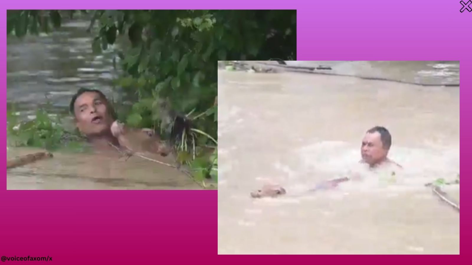 Assam Floods: Man risks life to rescue calf from drowning, video goes viral  | Trending News - The Indian Express