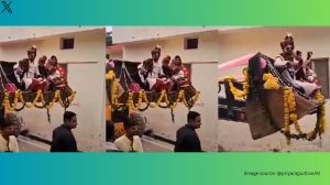 The video shows the groom loaded on the bulldozer's blade and vibing to dhol beats (Image source: @priyarajputlive/X)