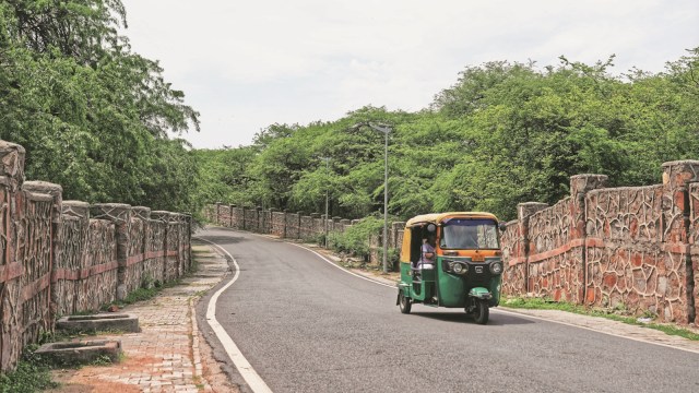delhi Ridge, delhi Ridge epicentre, urban development, Aravalli Range, environmental preservation, delhi development work, geological marvel, delhi forest, Indian express news