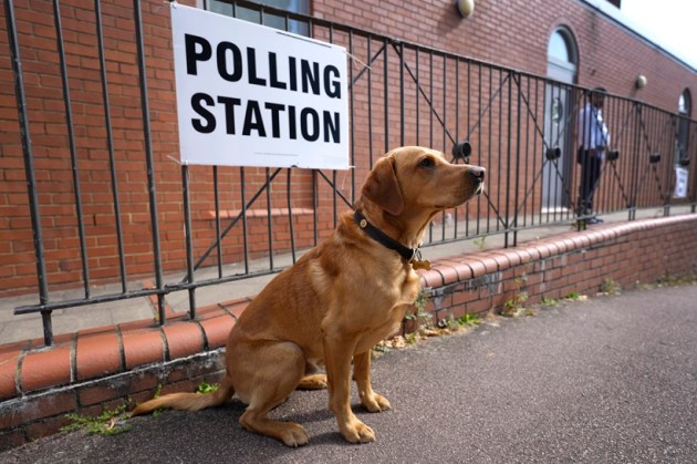 UK election