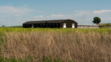 Italian police free 33 Indian farm labourers