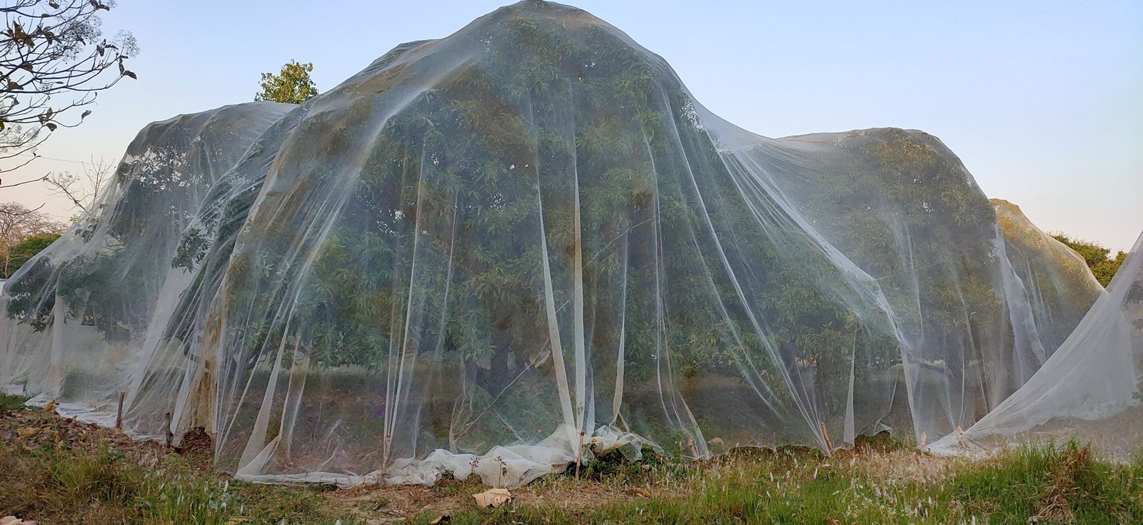 uttarakhand climate change