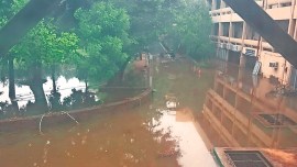 IIT Delhi, IIT delhi academic loss, delhi rain, IIT delhi lab flood Kusuma School of Biological Sciences, IIT delhi Research work, Indian express news