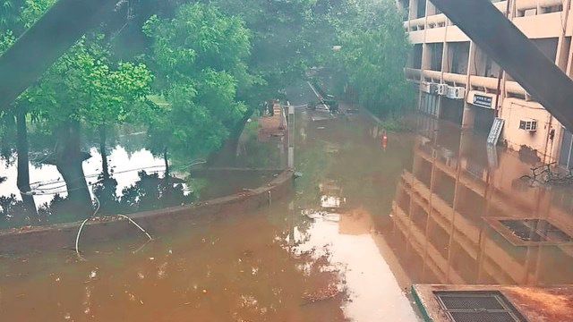 IIT Delhi, IIT delhi academic loss, delhi rain, IIT delhi lab flood Kusuma School of Biological Sciences, IIT delhi Research work, Indian express news
