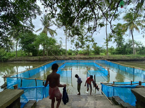 Young boys go for a swim in one of the two pond-based pools created in the Sundarbans, India, to help children learn survival swimming in safe spaces and less risk of drowning. Photo credit: Neha Banka
