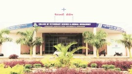 Junagadh Agricultural University, JAU Panic situation, Leopar at JAU, Girnar Wildlife Sanctuary, JAU laboratory, JAU College of Agricultural Engineering and Technology, JAU campus news, CAET college, Indian express news