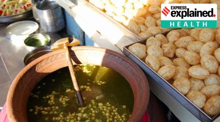 Why Karnataka is cracking down on vendors of pani puri and gobi manchurian
