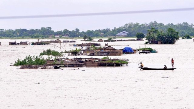 Rivers in spate, fisherman marooned, Kaziranga submerged, animals ...