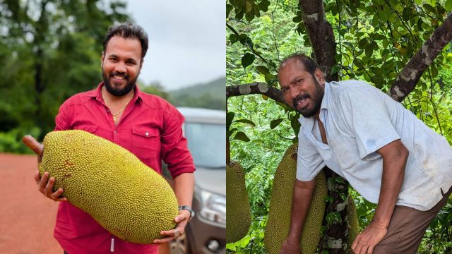 Jackfruit