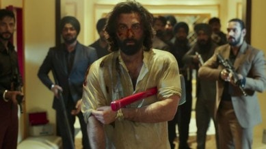 Ranbir Kapoor starrer Animal stands as one of the biggest Hindi films of all times.