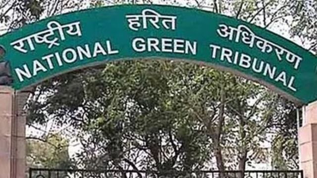 The tribunal was hearing a matter regarding the availability of clean water during the Kumbh Mela in Prayagraj amid claims of sewage discharge in the two rivers.