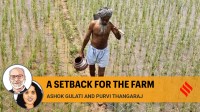 agriculture
