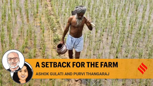 agriculture