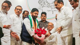 sharad pawar on maharashtra assembly polls